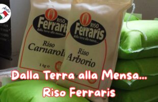 Dalla terra alla mensa – Il racconto viscerale di Riso Ferraris